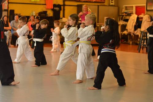 Kids Martial Arts and Karate